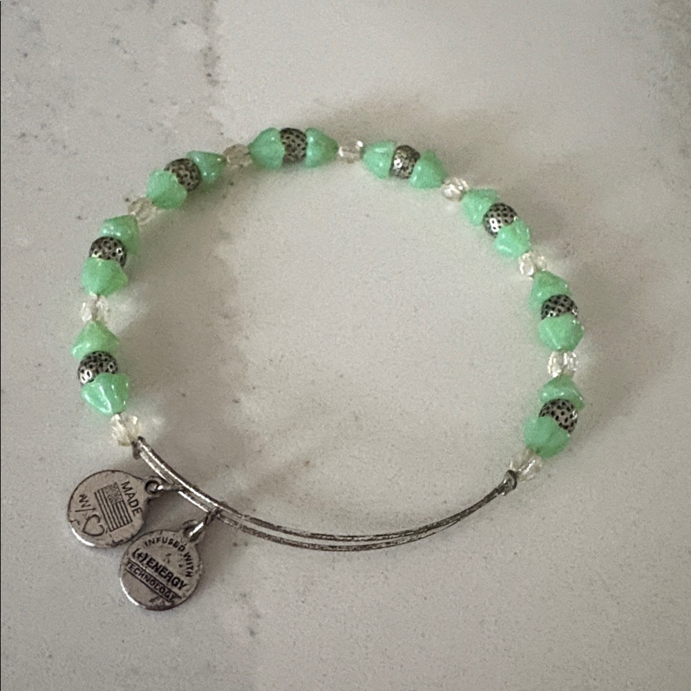 Alex and Ani Mosaic sage Wrap Charm Bangle bracelet silver retired
